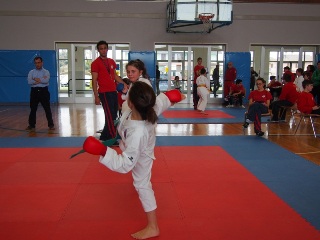 Image description
